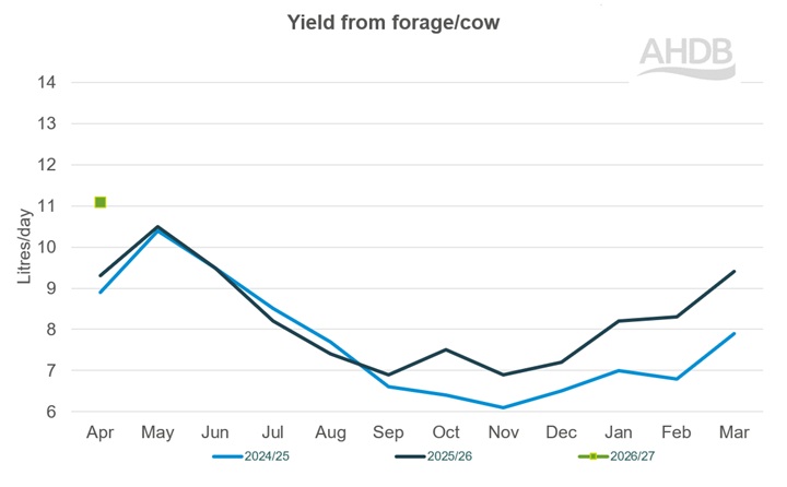 A line graph up to April 2026 detailing Kingshay yield from forage per cow graph last 3 years.